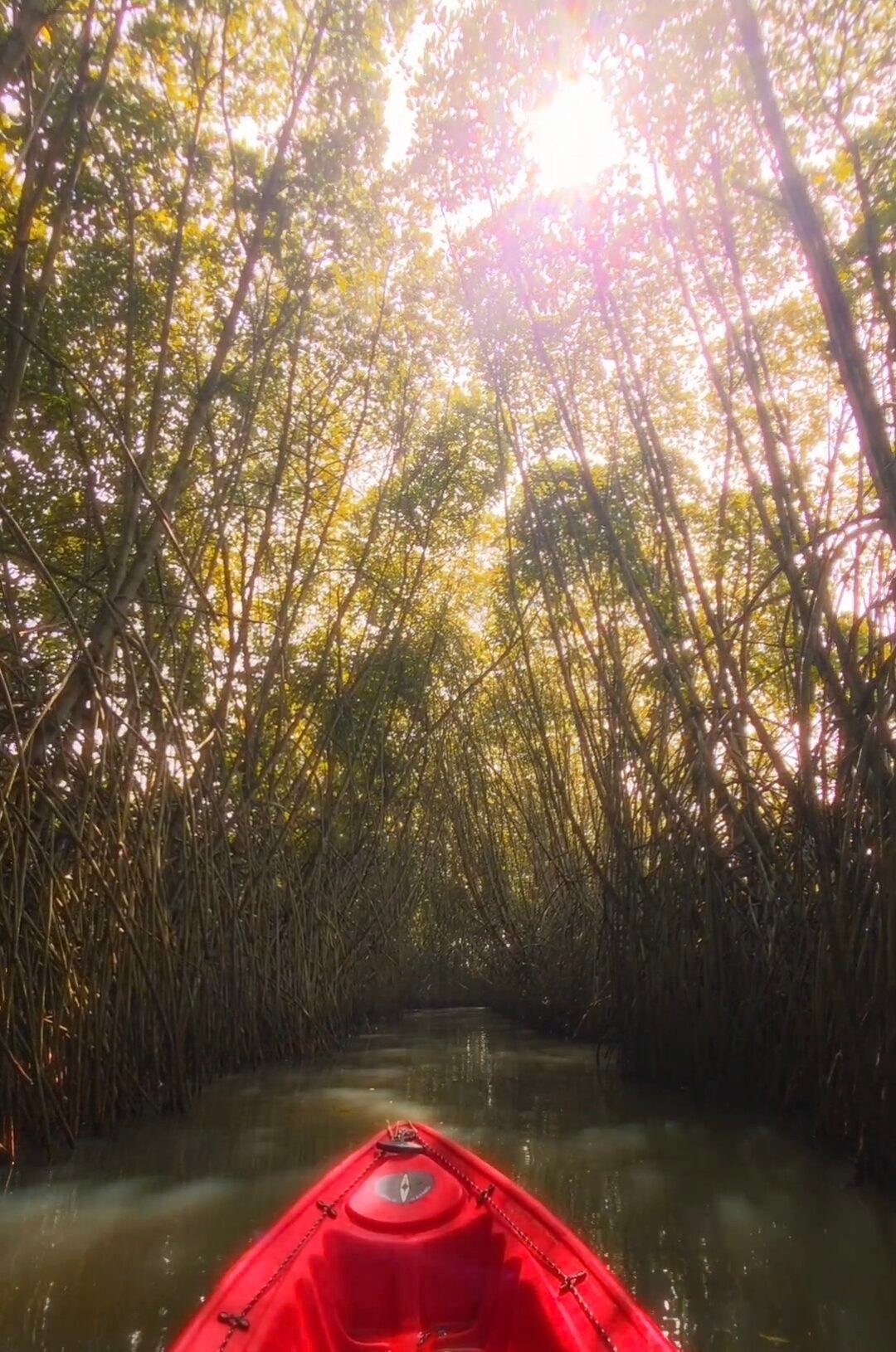 Screenshot_20250926_203314_Gallery